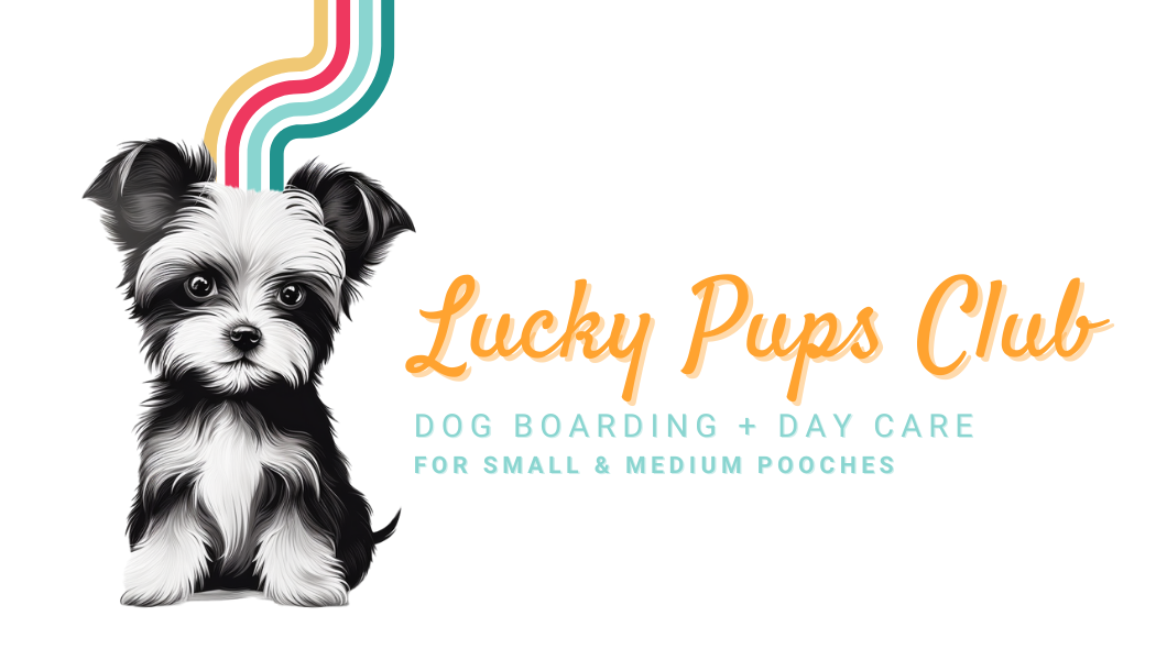 Lucky Pups Club