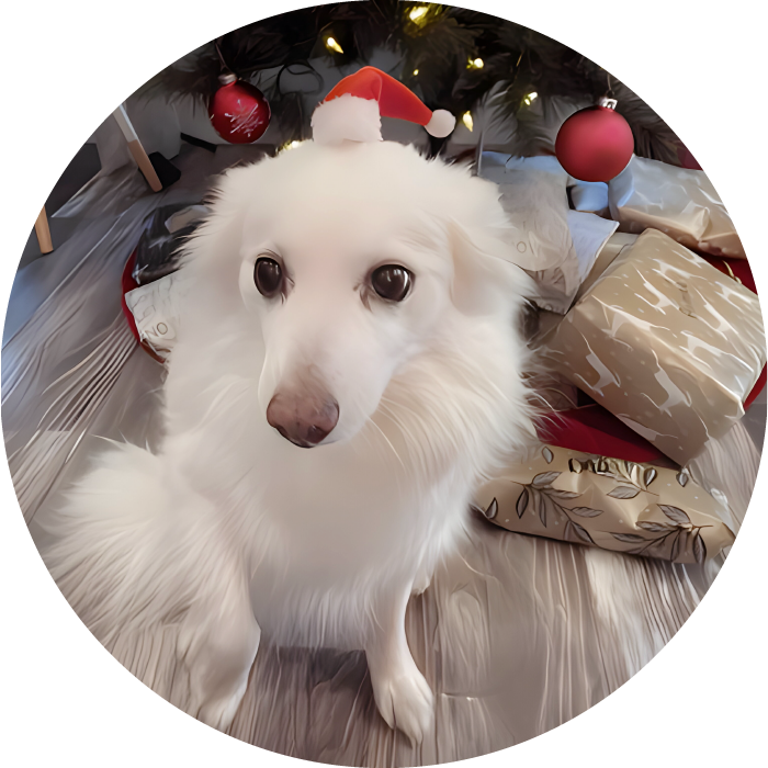 Lucky Pups Club Portage La Prairie Manitoba Pet Care Services Dog Boarding