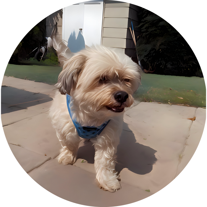 Lucky Pups Club Portage La Prairie Manitoba Pet Care Services Dog Boarding