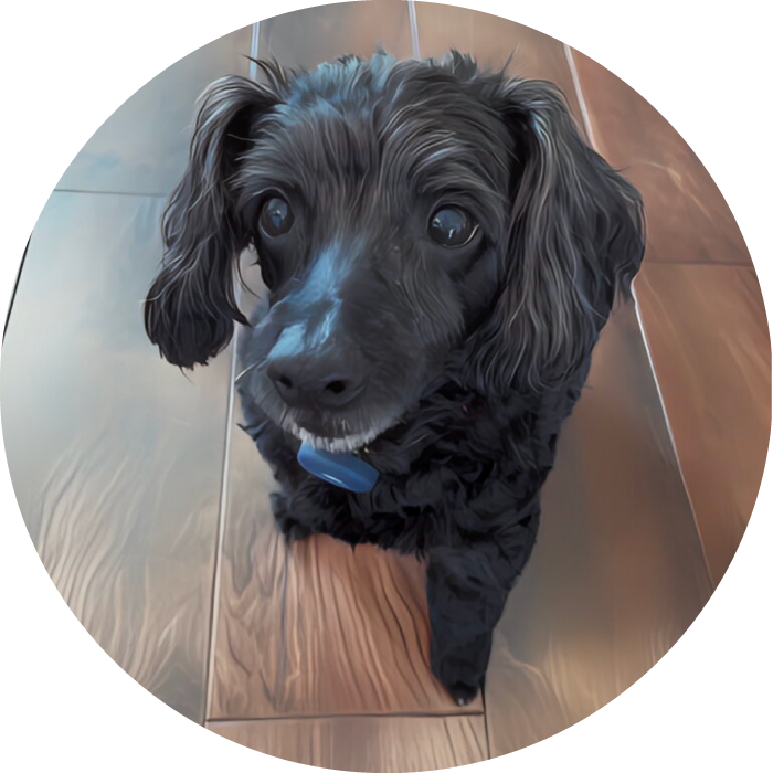 Lucky Pups Club Portage La Prairie Manitoba Pet Care Services Dog Boarding