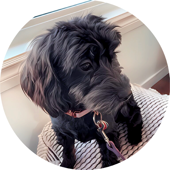 Lucky Pups Club Portage La Prairie Manitoba Pet Care Services Dog Boarding