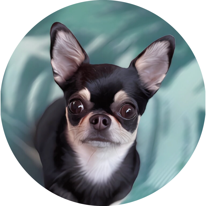 Lucky Pups Club Portage La Prairie Manitoba Pet Care Services Dog Boarding