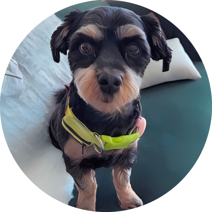 Lucky Pups Club Portage La Prairie Manitoba Pet Care Services Dog Boarding
