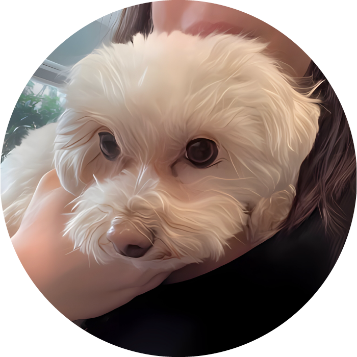 Lucky Pups Club Portage La Prairie Manitoba Pet Care Services Dog Boarding