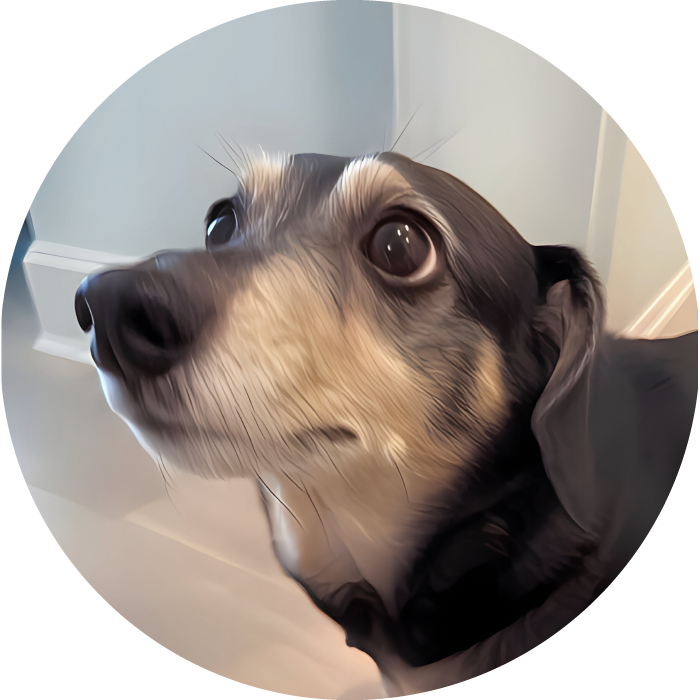 Lucky Pups Club Portage La Prairie Manitoba Pet Care Services Dog Boarding