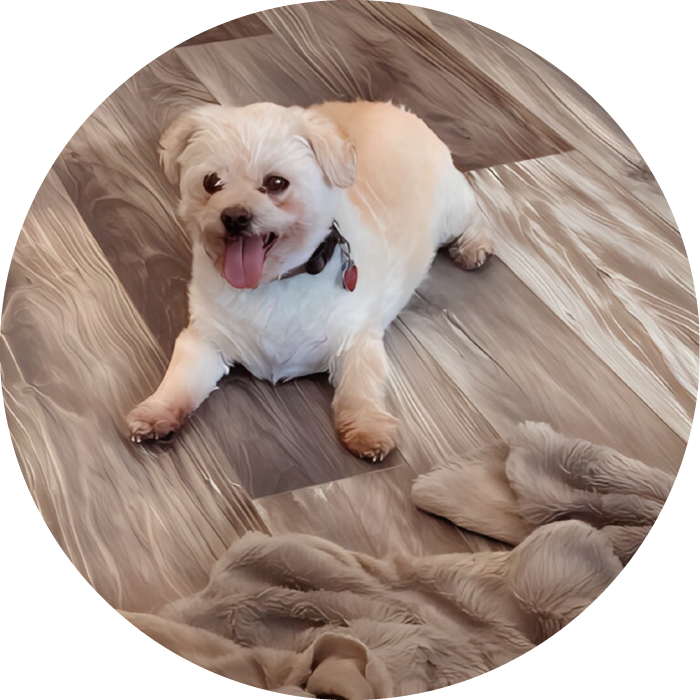 Lucky Pups Club Portage La Prairie Manitoba Pet Care Services Dog Boarding