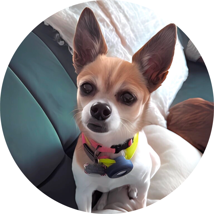 Lucky Pups Club Portage La Prairie Manitoba Pet Care Services Dog Boarding