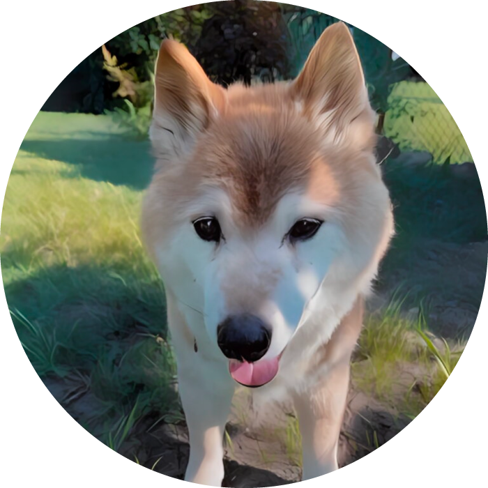 Lucky Pups Club Portage La Prairie Manitoba Pet Care Services Dog Boarding Kennel