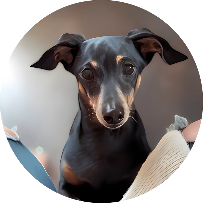 Lucky Pups Club Portage La Prairie Manitoba Pet Care Services Dog Boarding