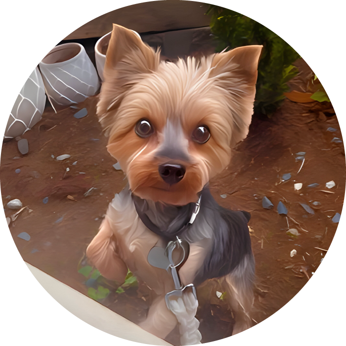 Lucky Pups Club Portage La Prairie Manitoba Pet Care Services Dog Boarding