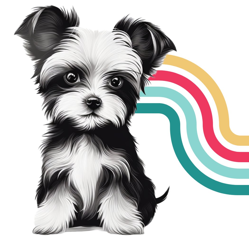 Dog boarding for sales small dogs near me