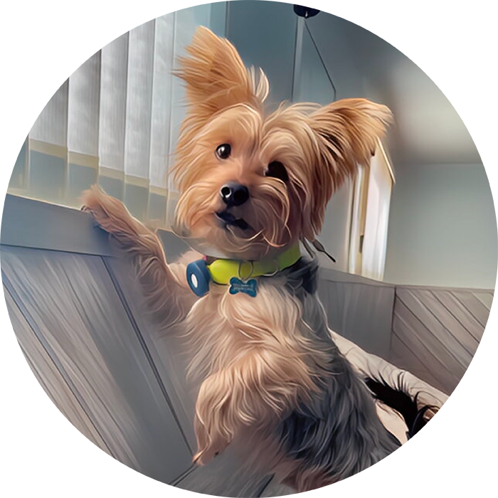 Lucky Pups Club Portage La Prairie Manitoba Pet Care Services Dog Boarding 