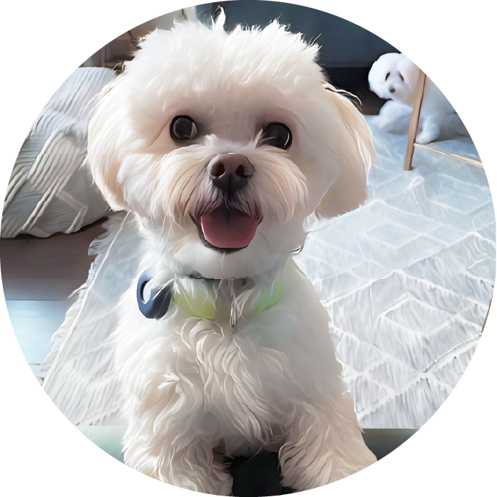 <strong>Colt</strong> #86