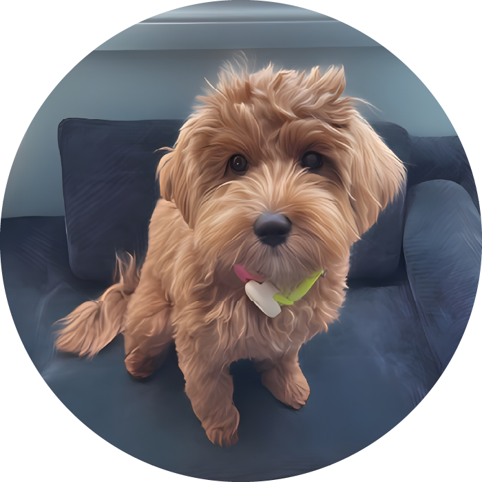 <strong>Gracie </strong>#92