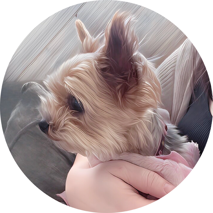 Lucky Pups Club Portage La Prairie Manitoba Pet Care Services Dog Boarding 