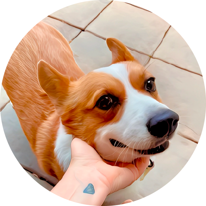 <strong>Hooper </strong>#84