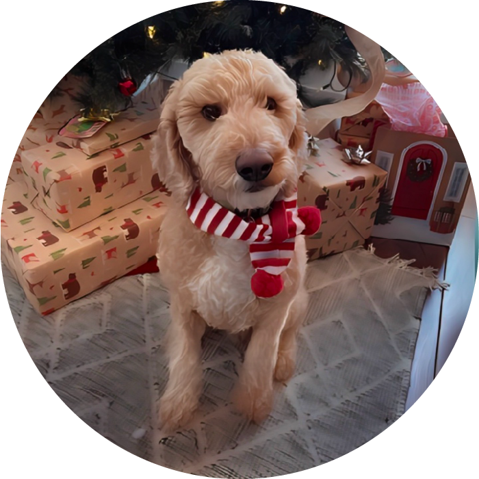 <strong>Jasper</strong> #89