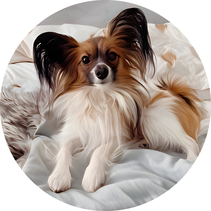 Lucky Pups Club Portage La Prairie Manitoba Pet Care Services Dog Boarding 