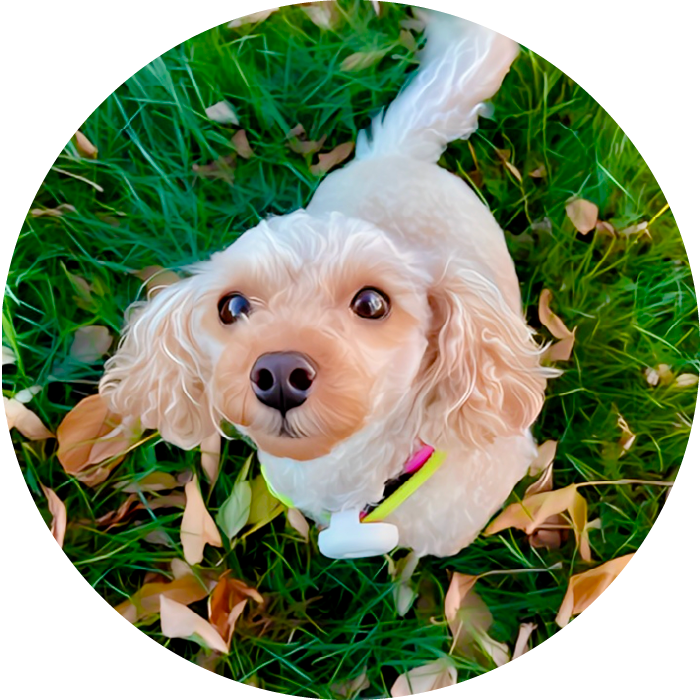 <strong>Mila </strong>#85