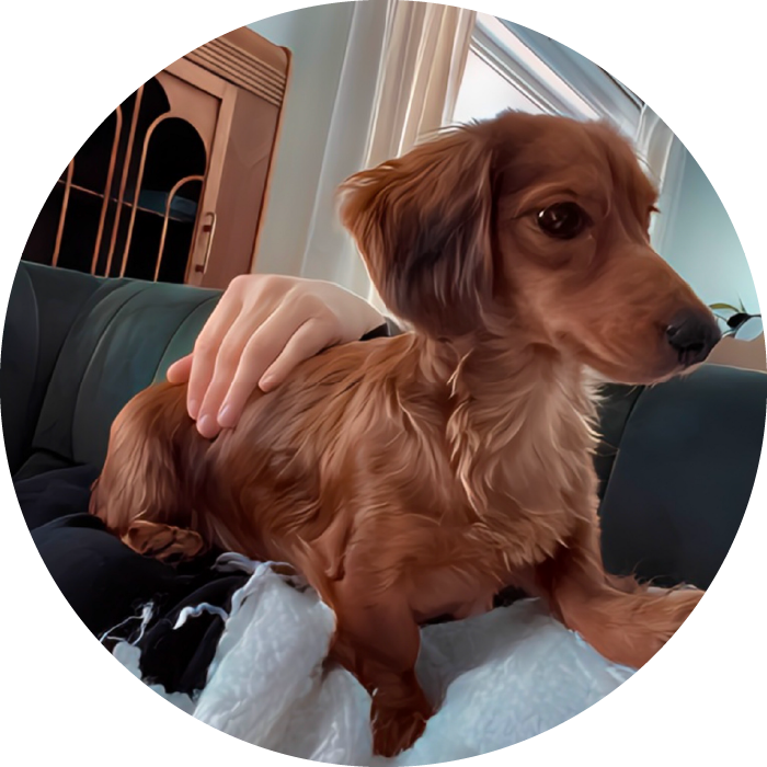 <strong>Poppy</strong> #88