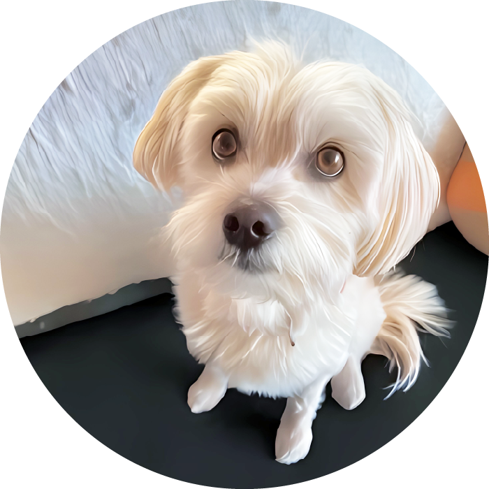 <strong>Poppy</strong> #87