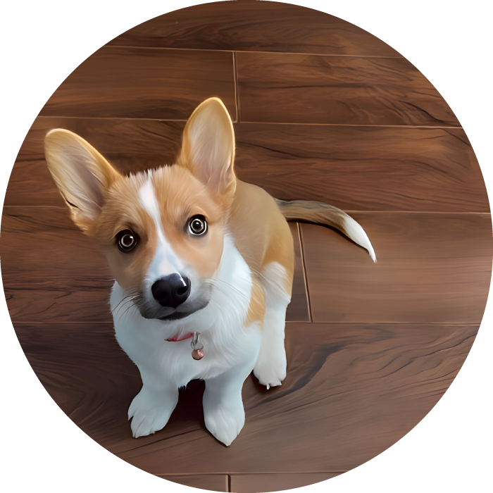 Lucky Pups Club Portage La Prairie Manitoba Pet Care Services Dog Boarding 